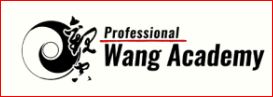 ProfWangAcademy