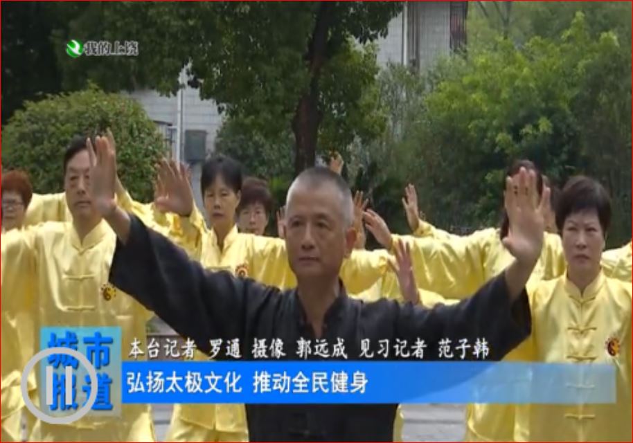 JiangXiProjectDrWang6styleTaiji JiangXiProjectDrWang6styleTaiji